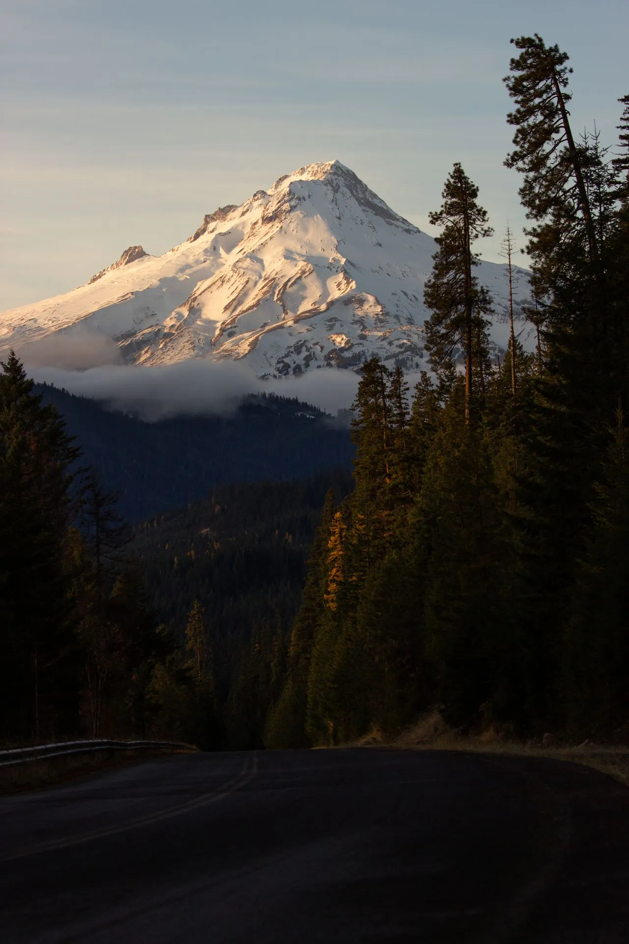 Mount Hood catching the last light above the treeline